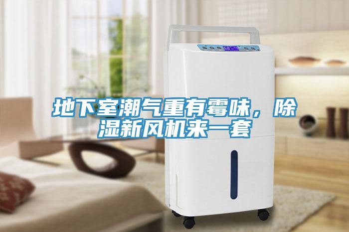 地下室潮气重有霉味，除湿新风机来一套