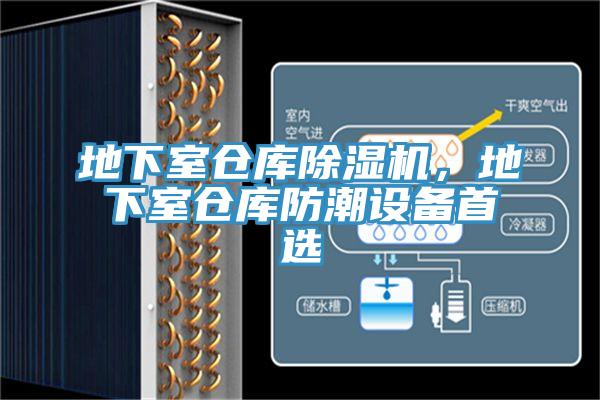地下室仓库免费看操逼软件，地下室仓库防潮设备首选