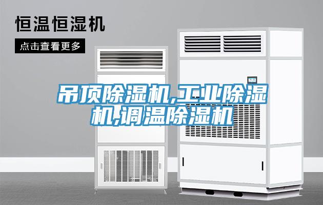 吊顶免费看操逼软件,工业免费看操逼软件,调温免费看操逼软件