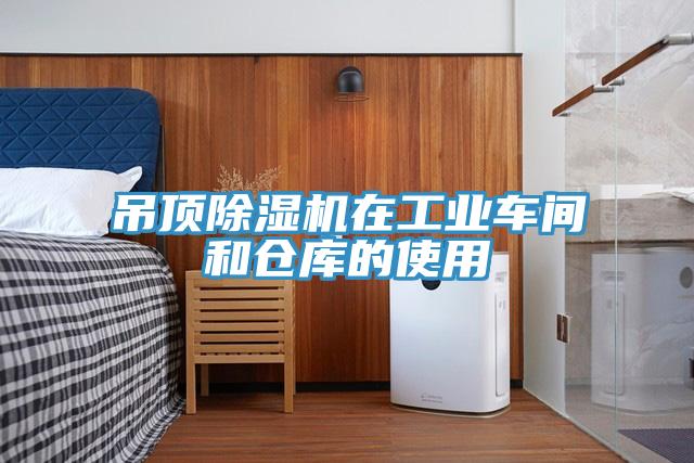 吊顶免费看操逼软件在工业车间和仓库的使用