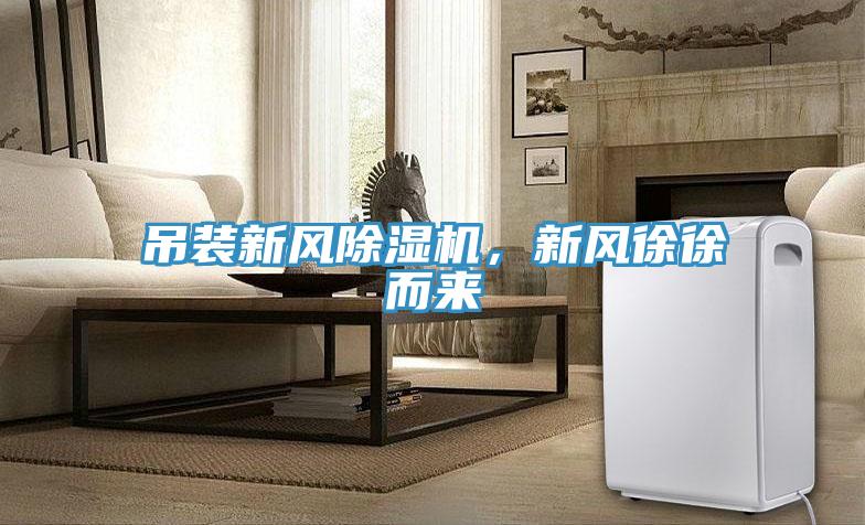 吊装新风免费看操逼软件，新风徐徐而来