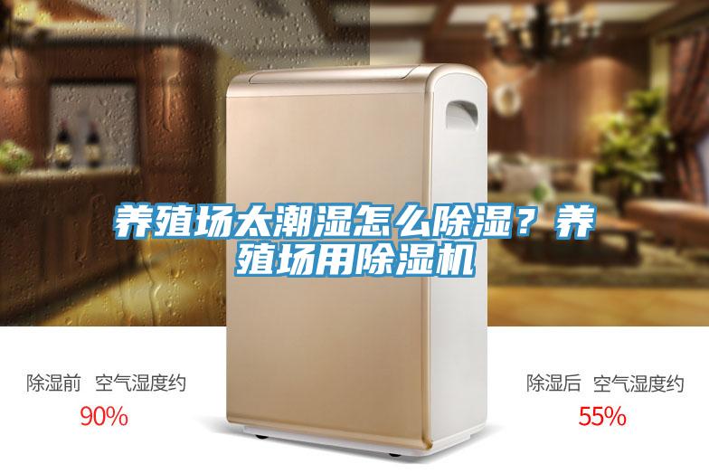 养殖场太潮湿怎么除湿？养殖场用免费看操逼软件