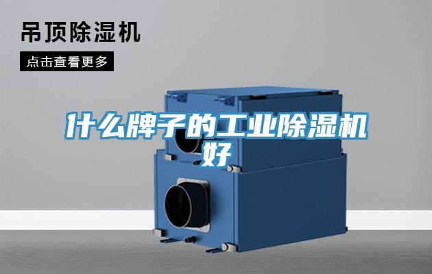 什么牌子的工业免费看操逼软件好