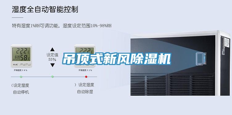 吊顶式新风免费看操逼软件
