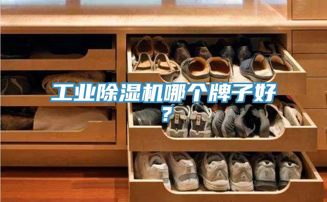 工业免费看操逼软件哪个牌子好？