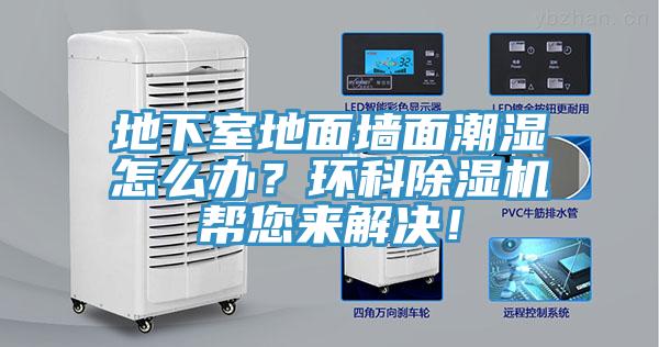 地下室地面墙面潮湿怎么办？环科免费看操逼软件帮您来解决！