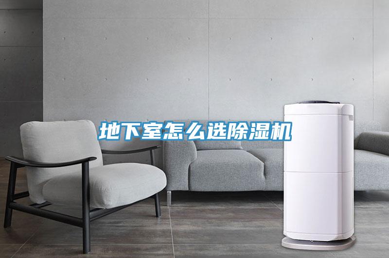 地下室怎么选免费看操逼软件