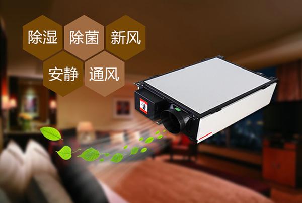 工业免费看操逼软件不同除湿系统的优点和缺点