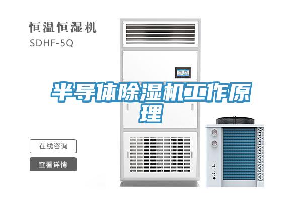 半导体免费看操逼软件工作原理