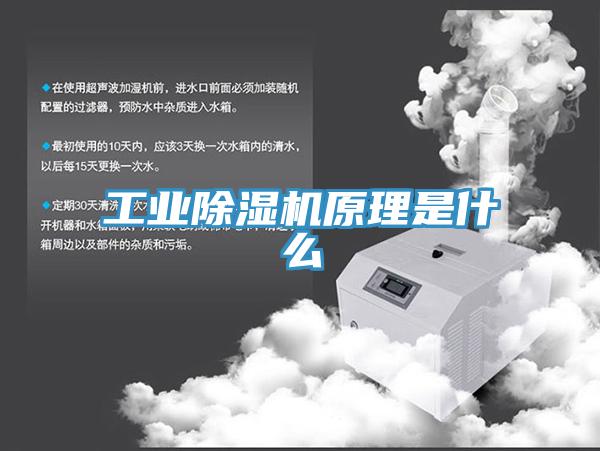工业免费看操逼软件原理是什么