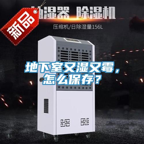 地下室又湿又霉，怎么保存？