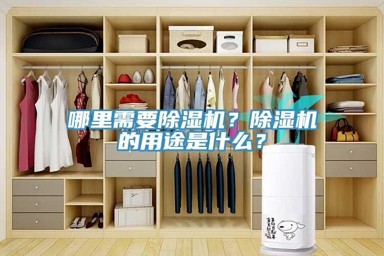 哪里需要免费看操逼软件？免费看操逼软件的用途是什么？