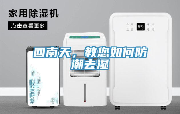 回南天，教您如何防潮去湿