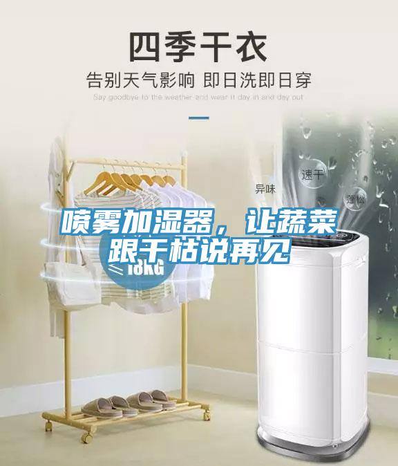 喷雾加湿器，让蔬菜跟干枯说再见