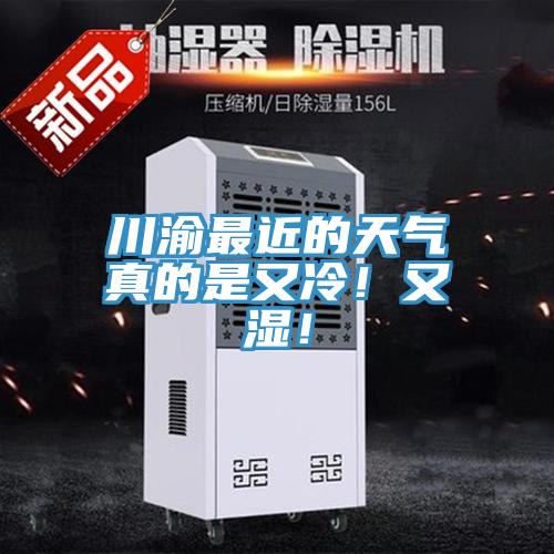 川渝最近的天气真的是又冷！又湿！
