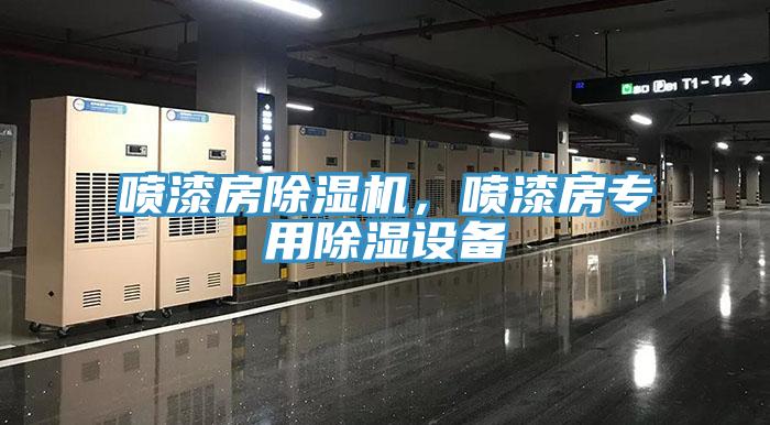 喷漆房免费看操逼软件，喷漆房专用除湿设备