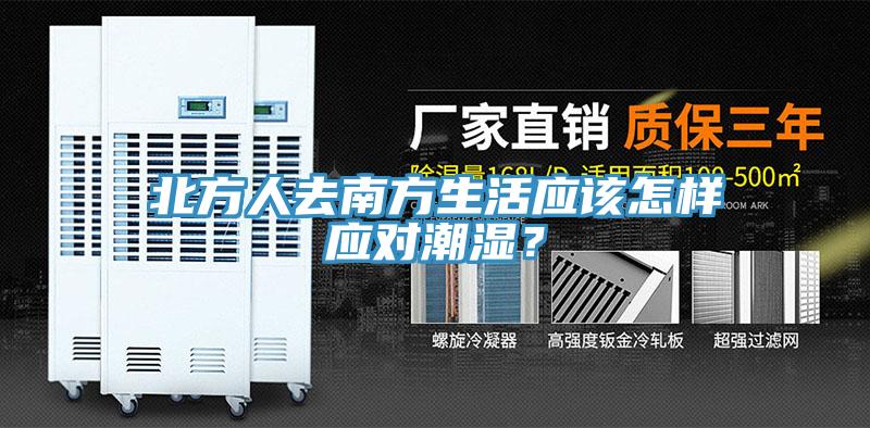 北方人去南方生活应该怎样应对潮湿？