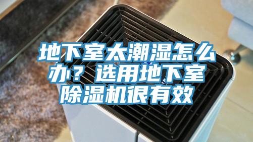 地下室太潮湿怎么办？选用地下室免费看操逼软件很有效