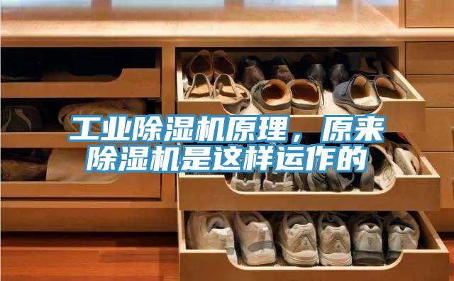 工业免费看操逼软件原理，原来免费看操逼软件是这样运作的