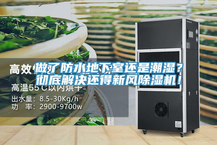 做了防水地下室还是潮湿？彻底解决还得新风免费看操逼软件！