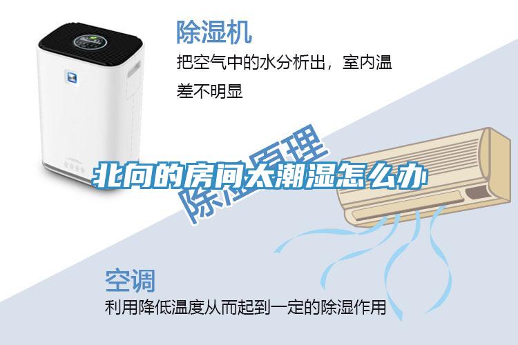 北向的房间太潮湿怎么办