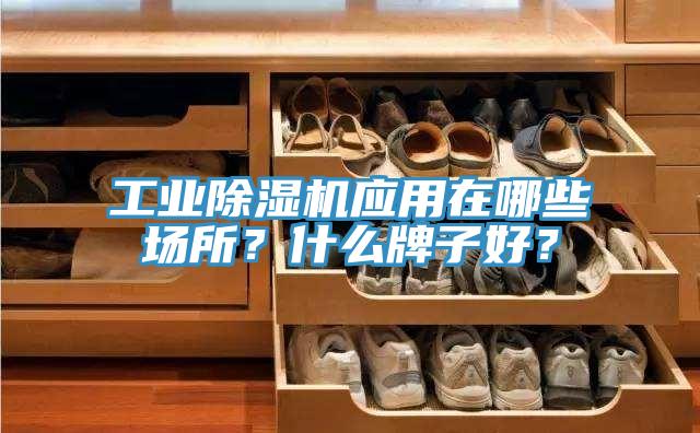 工业免费看操逼软件应用在哪些场所？什么牌子好？