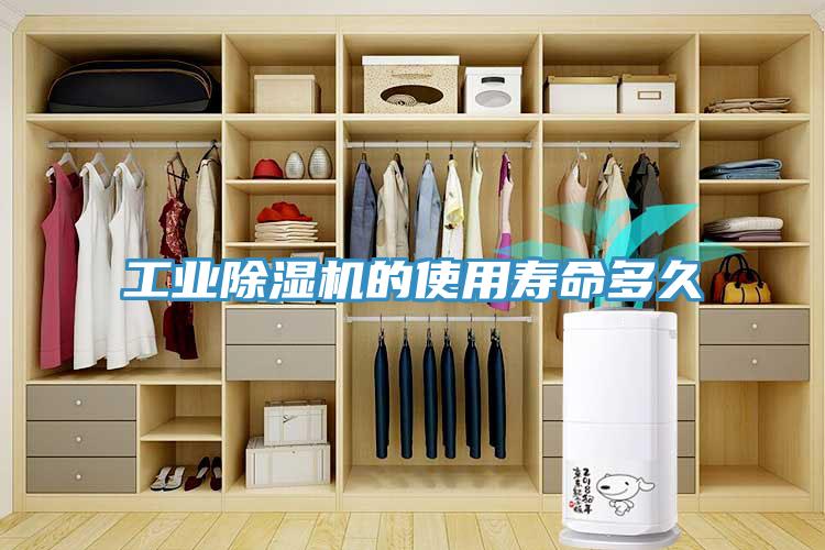 工业免费看操逼软件的使用寿命多久