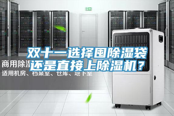 双十一选择囤除湿袋还是直接上免费看操逼软件？