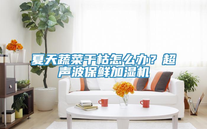 夏天蔬菜干枯怎么办？超声波保鲜加湿机