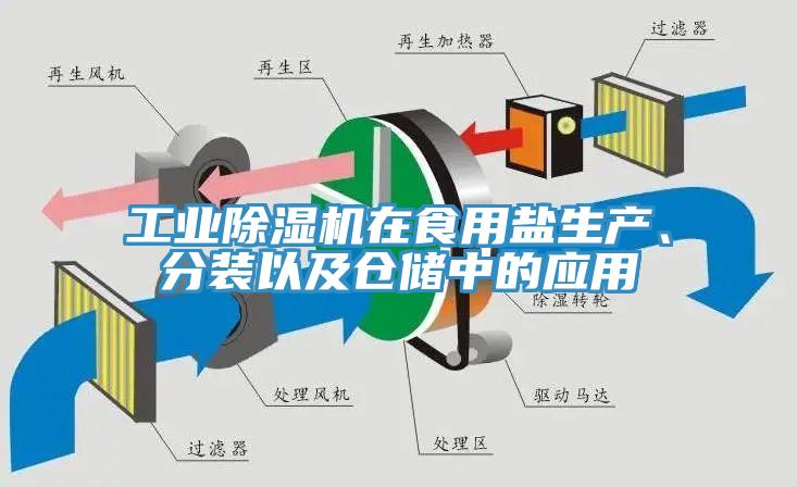 工业免费看操逼软件在食用盐生产、分装以及仓储中的应用