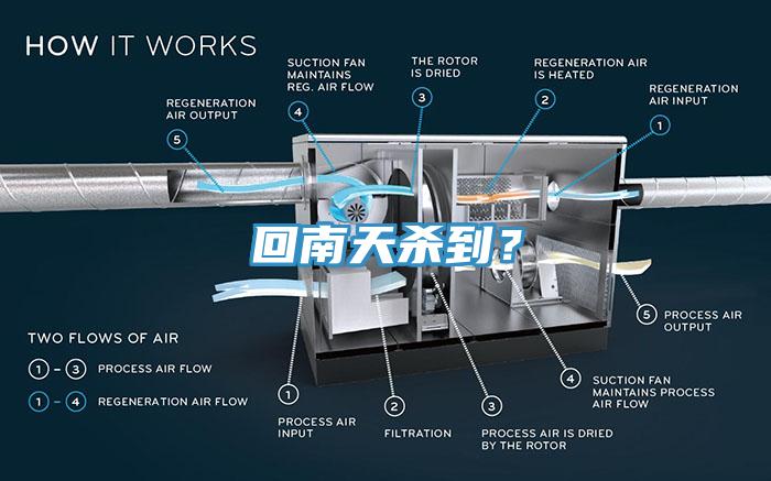 回南天杀到？