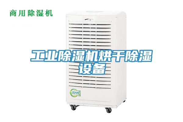 工业免费看操逼软件烘干除湿设备
