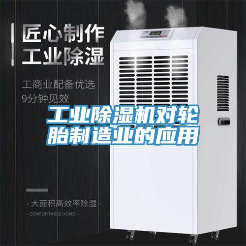 工业免费看操逼软件对轮胎制造业的应用