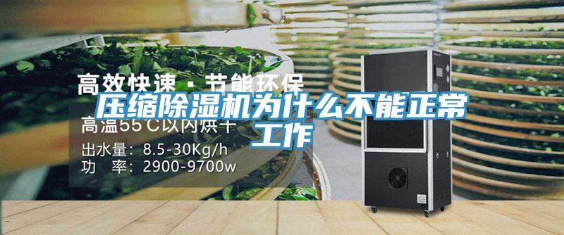 压缩免费看操逼软件为什么不能正常工作
