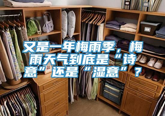 又是一年梅雨季，梅雨天气到底是“诗意”还是“湿意”？