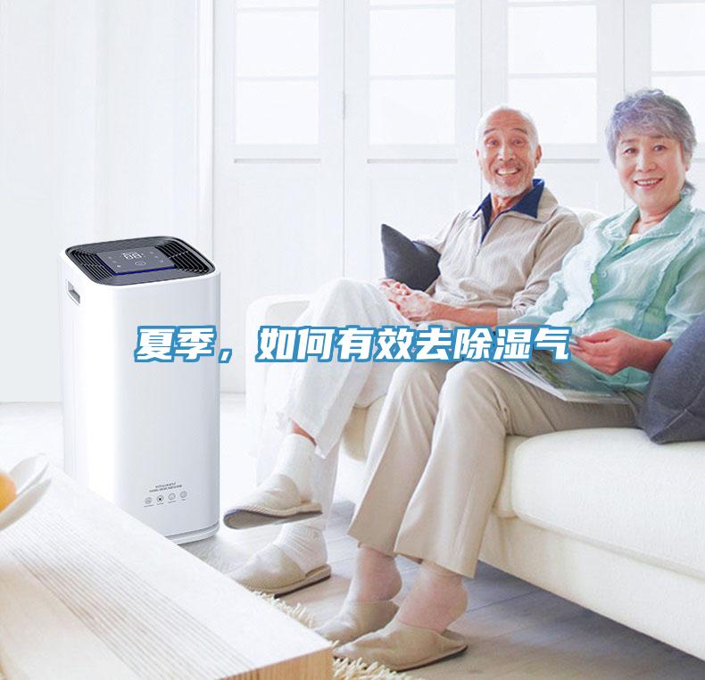 夏季，如何有效去除湿气