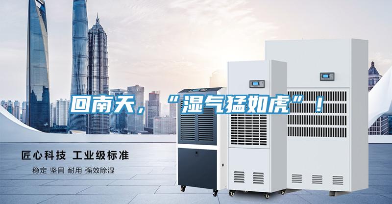 回南天，“湿气猛如虎”！