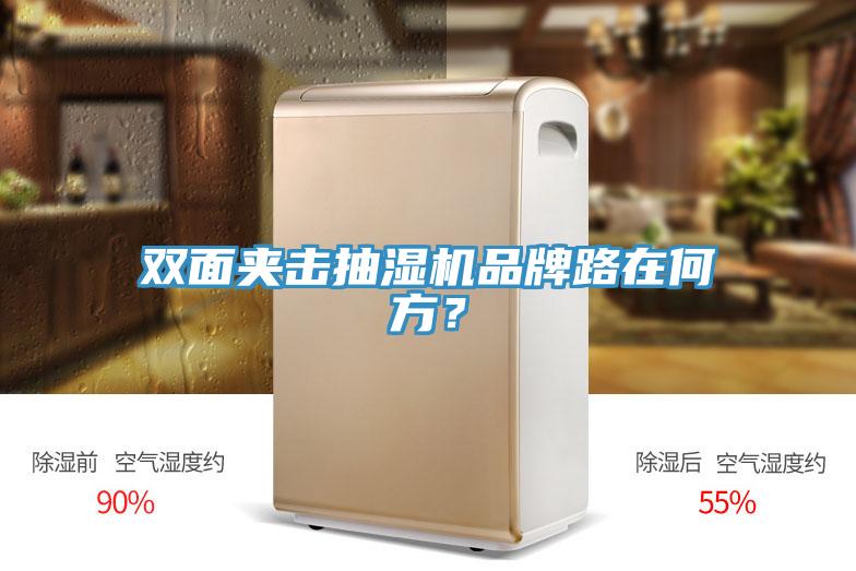 双面夹击抽湿机品牌路在何方？