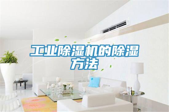 工业免费看操逼软件的除湿方法