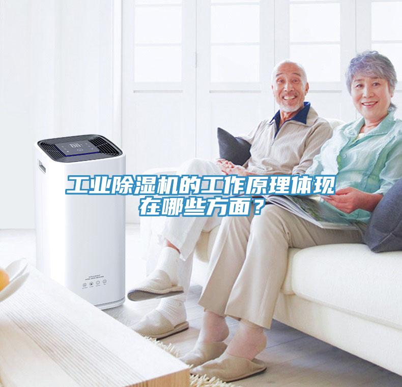 工业免费看操逼软件的工作原理体现在哪些方面？