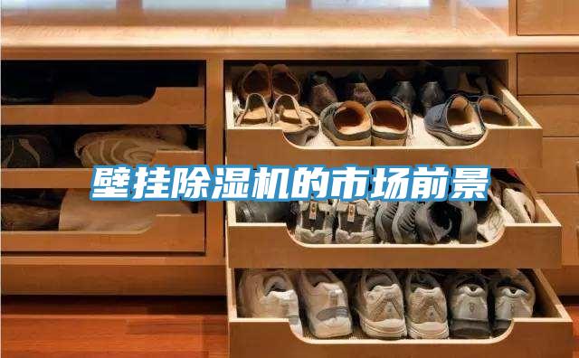 壁挂免费看操逼软件的市场前景