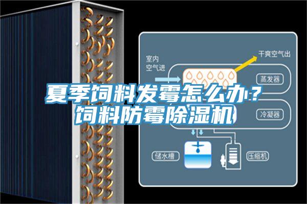 夏季饲料发霉怎么办？饲料防霉免费看操逼软件