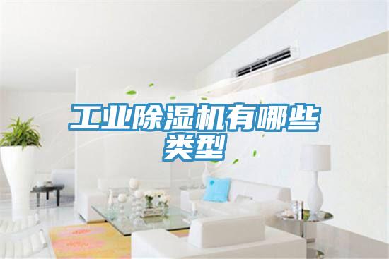工业免费看操逼软件有哪些类型
