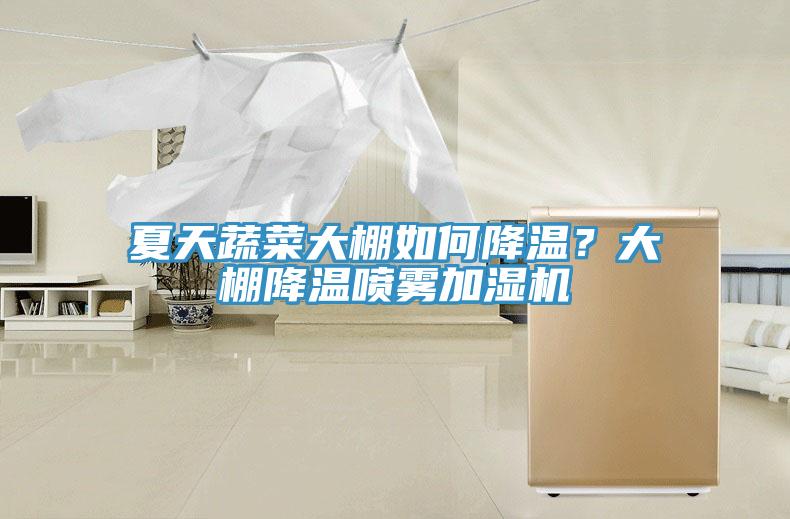 夏天蔬菜大棚如何降温？大棚降温喷雾加湿机