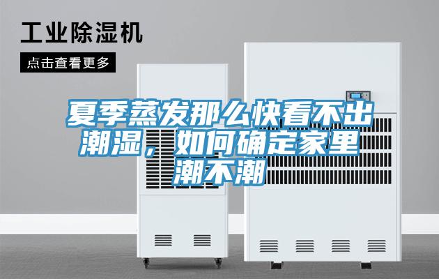 夏季蒸发那么快看不出潮湿，如何确定家里潮不潮