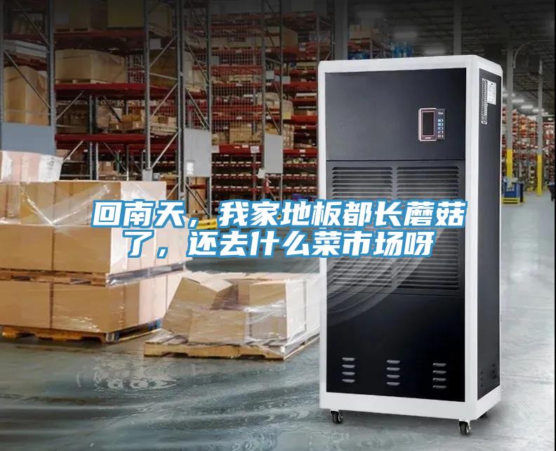 回南天，我家地板都长蘑菇了，还去什么菜市场呀