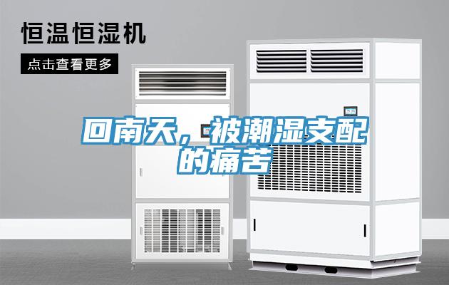 回南天，被潮湿支配的痛苦