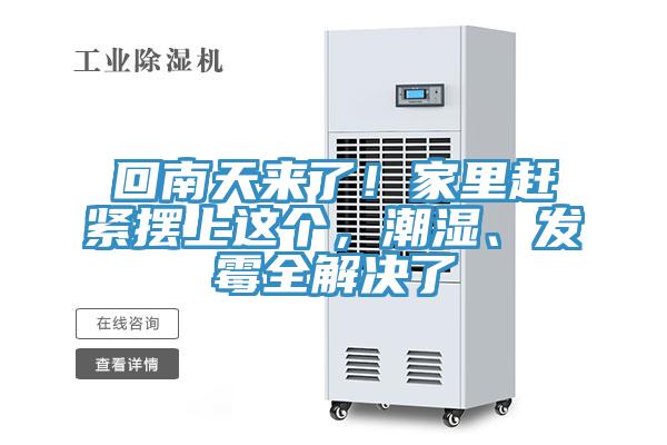 回南天来了！家里赶紧摆上这个，潮湿、发霉全解决了