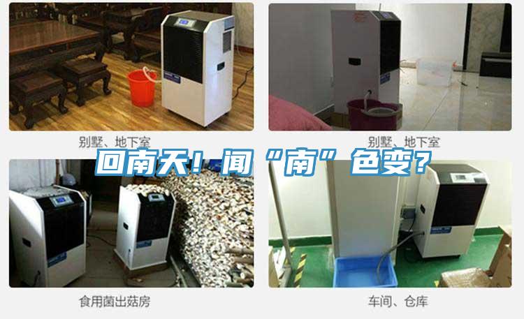 回南天！闻“南”色变？