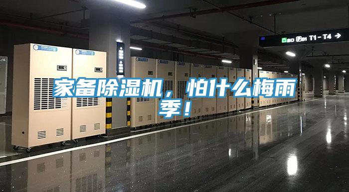 家备免费看操逼软件，怕什么梅雨季！
